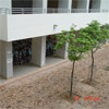 Active Image